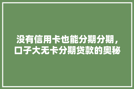 没有信用卡也能分期分期，口子大无卡分期贷款的奥秘