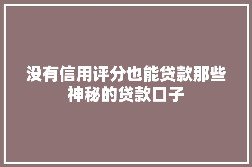 没有信用评分也能贷款那些神秘的贷款口子
