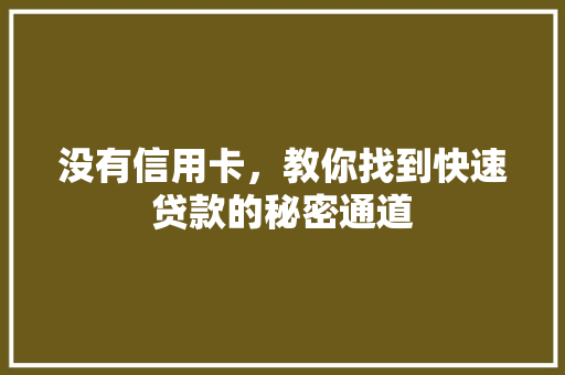 没有信用卡，教你找到快速贷款的秘密通道