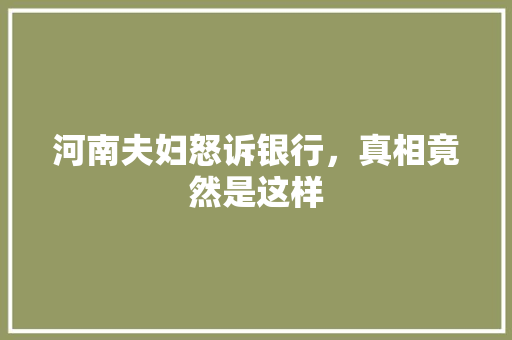 河南夫妇怒诉银行，真相竟然是这样