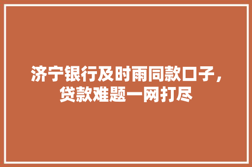 济宁银行及时雨同款口子，贷款难题一网打尽