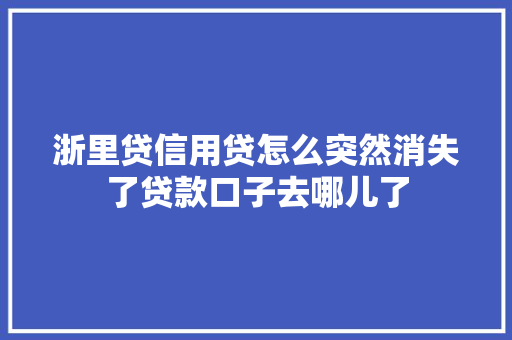 浙里贷信用贷怎么突然消失了贷款口子去哪儿了