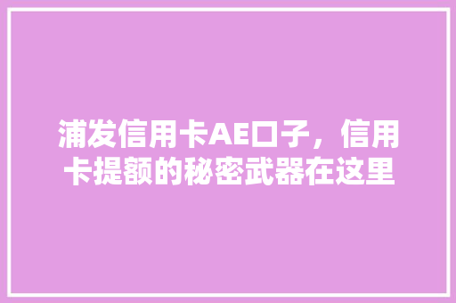 浦发信用卡AE口子，信用卡提额的秘密武器在这里