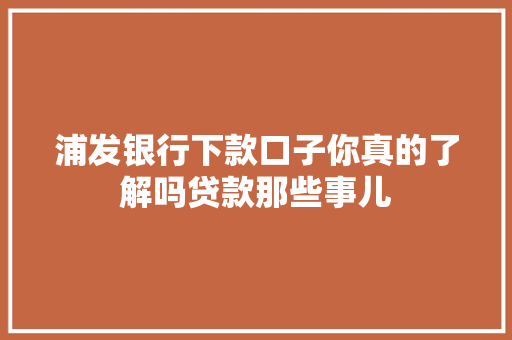 浦发银行下款口子你真的了解吗贷款那些事儿