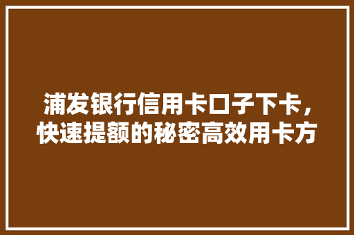 浦发银行信用卡口子下卡，快速提额的秘密高效用卡方法