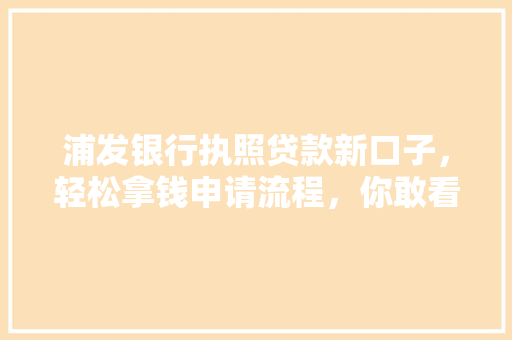 浦发银行执照贷款新口子，轻松拿钱申请流程，你敢看吗