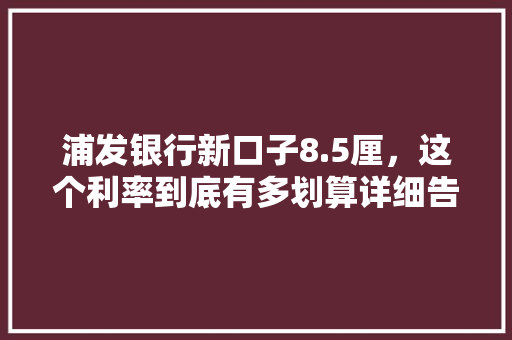 浦发银行新口子8.5厘，这个利率到底有多划算详细告诉你答案