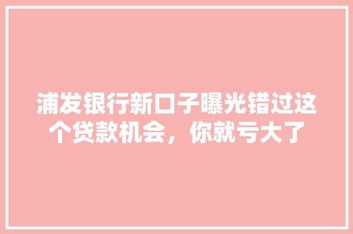 浦发银行新口子曝光错过这个贷款机会，你就亏大了