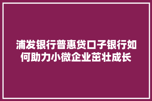 浦发银行普惠贷口子银行如何助力小微企业茁壮成长