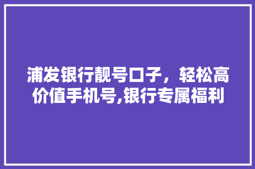 浦发银行靓号口子，轻松高价值手机号,银行专属福利，让你轻松拥有心仪号码