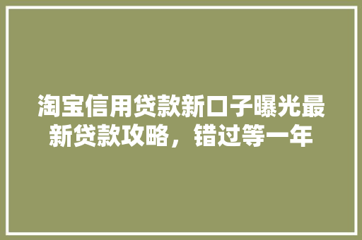 淘宝信用贷款新口子曝光最新贷款攻略，错过等一年