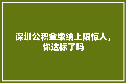 深圳公积金缴纳上限惊人，你达标了吗