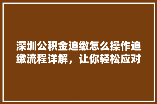 深圳公积金追缴怎么操作追缴流程详解，让你轻松应对