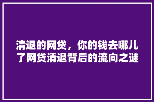 清退的网贷，你的钱去哪儿了网贷清退背后的流向之谜