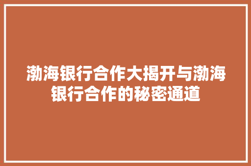 渤海银行合作大揭开与渤海银行合作的秘密通道