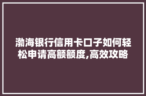 渤海银行信用卡口子如何轻松申请高额额度,高效攻略