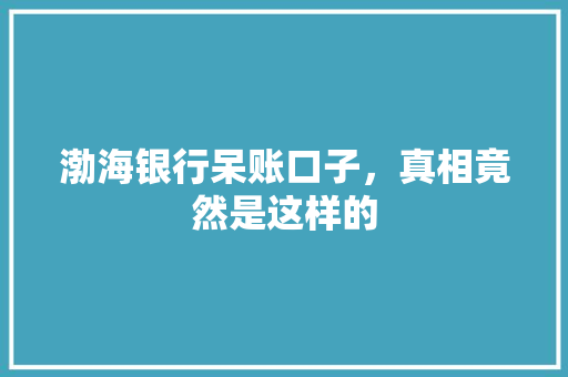 渤海银行呆账口子，真相竟然是这样的