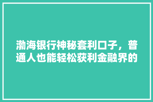 渤海银行神秘套利口子，普通人也能轻松获利金融界的隐藏商机