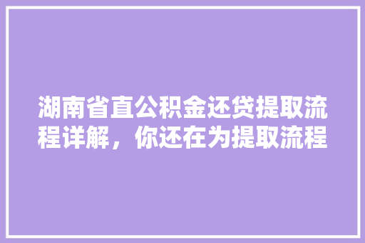 湖南省直公积金还贷提取流程详解，你还在为提取流程犯愁吗