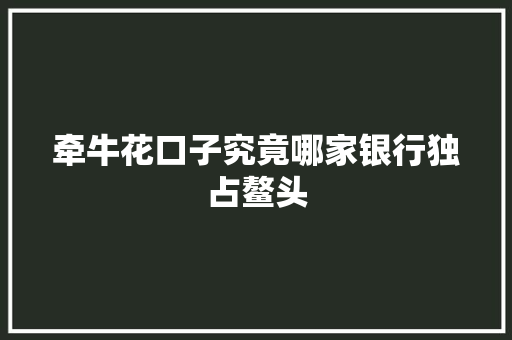 牵牛花口子究竟哪家银行独占鳌头