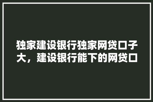独家建设银行独家网贷口子大，建设银行能下的网贷口子一览无余