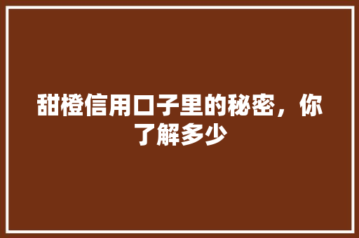甜橙信用口子里的秘密，你了解多少