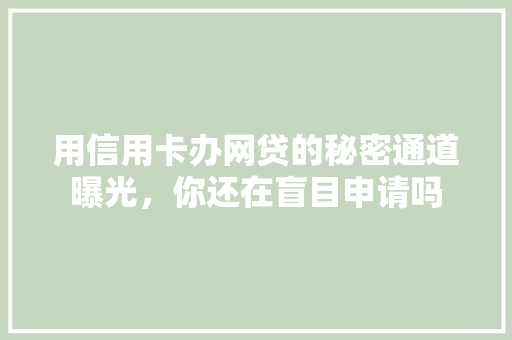 用信用卡办网贷的秘密通道曝光，你还在盲目申请吗