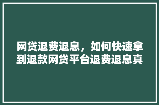 网贷退费退息，如何快速拿到退款网贷平台退费退息真相