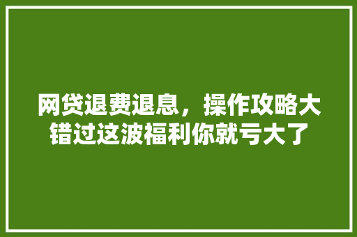 网贷退费退息，操作攻略大错过这波福利你就亏大了
