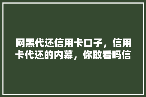 网黑代还信用卡口子，信用卡代还的内幕，你敢看吗信用卡代还行业的暗流涌动