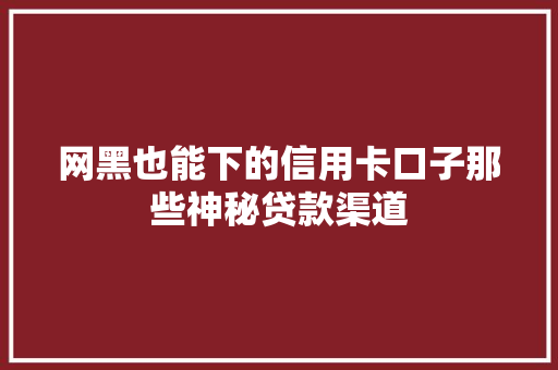 网黑也能下的信用卡口子那些神秘贷款渠道