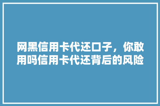 网黑信用卡代还口子，你敢用吗信用卡代还背后的风险与真相