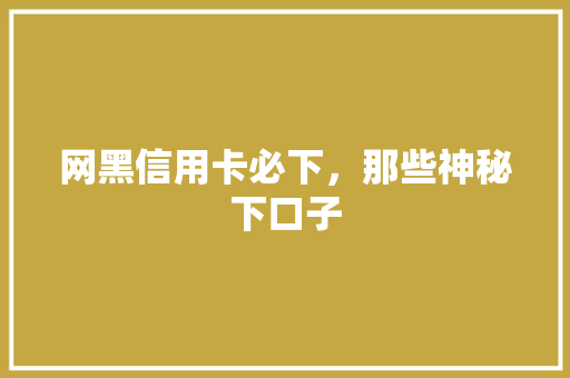 网黑信用卡必下，那些神秘下口子