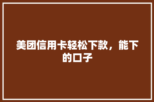 美团信用卡轻松下款，能下的口子