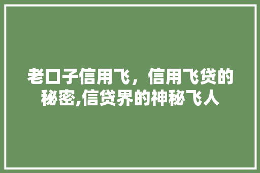 老口子信用飞，信用飞贷的秘密,信贷界的神秘飞人