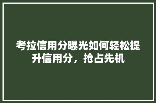考拉信用分曝光如何轻松提升信用分，抢占先机