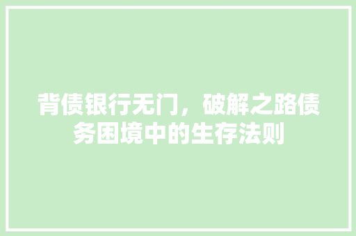 背债银行无门，破解之路债务困境中的生存法则