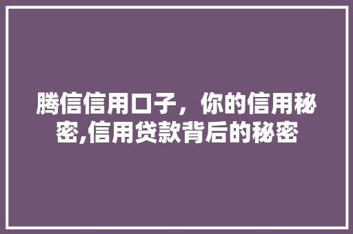 腾信信用口子，你的信用秘密,信用贷款背后的秘密