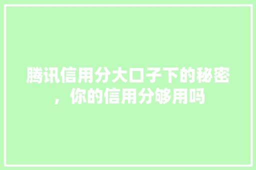 腾讯信用分大口子下的秘密，你的信用分够用吗