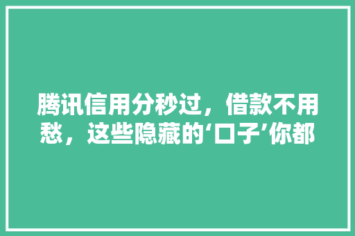 腾讯信用分秒过，借款不用愁，这些隐藏的‘口子’你都知道吗