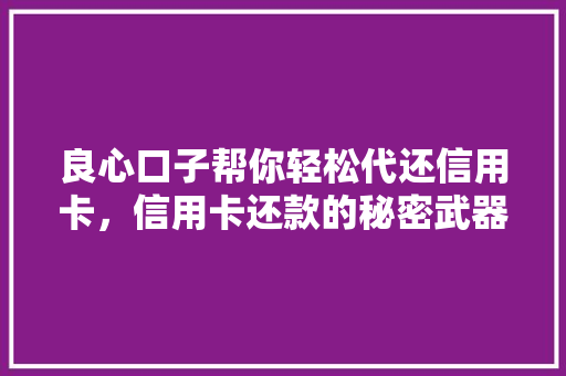 良心口子帮你轻松代还信用卡，信用卡还款的秘密武器
