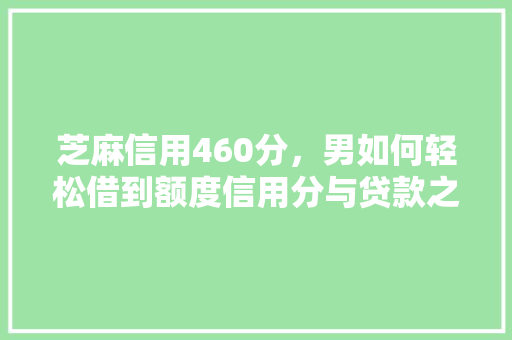 芝麻信用460分，男如何轻松借到额度信用分与贷款之间的关系