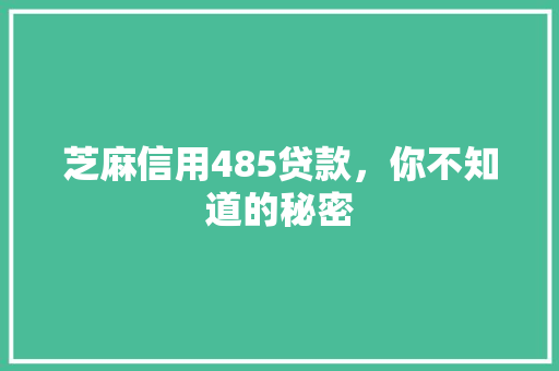 芝麻信用485贷款，你不知道的秘密