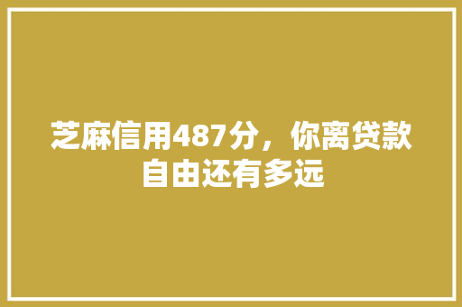 芝麻信用487分，你离贷款自由还有多远