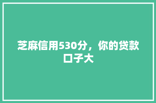 芝麻信用530分，你的贷款口子大