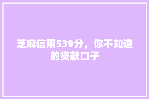 芝麻信用539分，你不知道的贷款口子