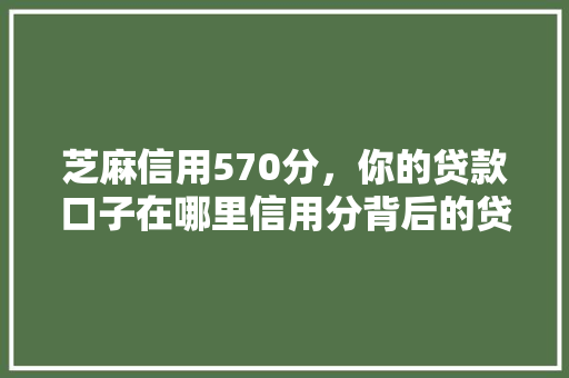 芝麻信用570分，你的贷款口子在哪里信用分背后的贷款秘密