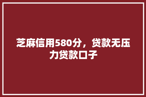 芝麻信用580分，贷款无压力贷款口子