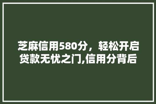 芝麻信用580分，轻松开启贷款无忧之门,信用分背后的秘密