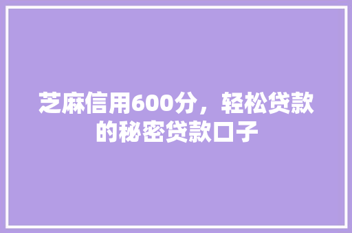 芝麻信用600分，轻松贷款的秘密贷款口子